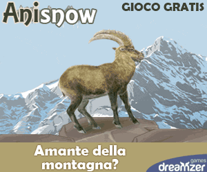 Anisnow: gioco gratis su Internet, occuparsi  di un animale